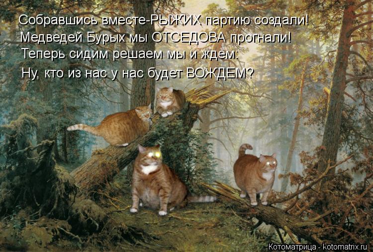 Котоматрица: Собравшись вместе-РЫЖИХ партию создали! Медведей Бурых мы ОТСЕДОВА прогнали! Теперь сидим решаем мы и ждем: Ну, кто из нас у нас будет ВОЖДЕМ
