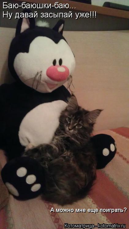 Котоматрица: Баю-баюшки-баю... Ну давай засыпай уже!!! А можно мне еще поиграть?