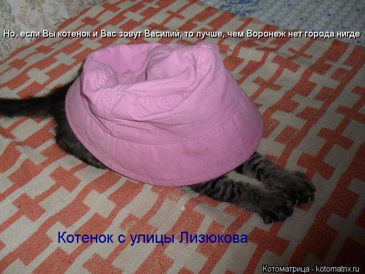 Котенок с улицы Лизюкова Но, если Вы котенок и Вас зовут Василий, то лучше, чем Воронеж нет города ни... Котоматрица: Котенок с улицы Лизюкова Но, если Вы котенок и Вас зовут Василий, то лучше, чем Воронеж нет города нигде