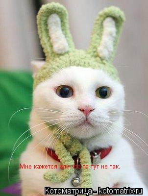 Котоматрица: Мне кажется или что то тут не так.