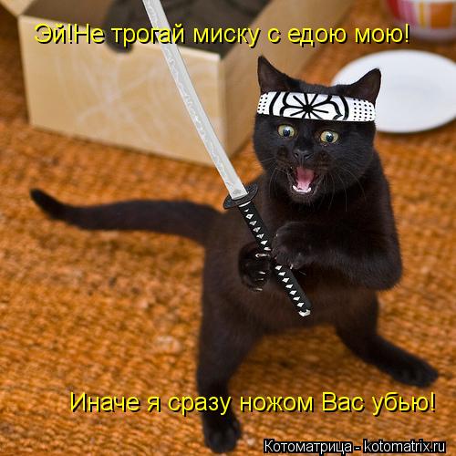 Эй!Не трогай миску с едою мою! Иначе я сразу ножом Вас убью!... Котоматрица: Эй!Не трогай миску с едою мою! Иначе я сразу ножом Вас убью!