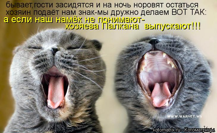 бывает,гости засидятся и на ночь норовят остаться хозяин подаёт нам знак-мы дружно делаем ВОТ ТАК: а ... Котоматрица: бывает,гости засидятся и на ночь норовят остаться хозяин подаёт нам знак-мы дружно делаем ВОТ ТАК: а если наш намёк не понимают- хозяева Пал
