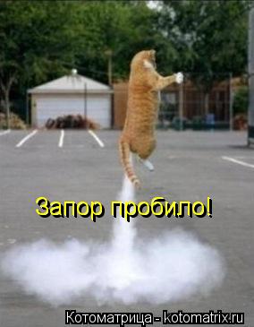 Котоматрица: Запор пробило! Запор пробило!
