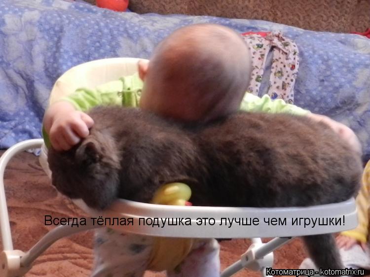 Котоматрица: Всегда тёплая подушка это лучше чем игрушки!