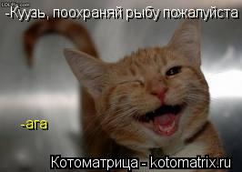 Котоматрица: -Куузь, поохраняй рыбу пожалуйста -ага