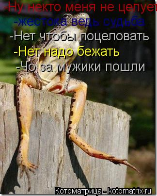 -Ну некто меня не целует -жестока ведь судьба -Нет чтобы поцеловать -Нет надо бежать -Чо за мужики по... Котоматрица: -Ну некто меня не целует -жестока ведь судьба -Нет чтобы поцеловать -Нет надо бежать -Чо за мужики пошли