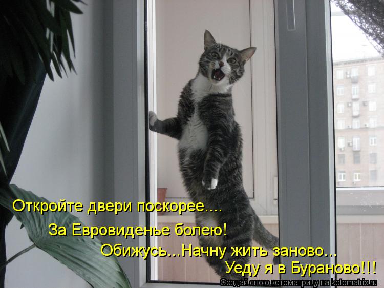 Откройте двери поскорее.... За Евровиденье болею! Обижусь...Начну жить заново... Уеду я в Бураново!!!... Котоматрица: Откройте двери поскорее.... За Евровиденье болею! Обижусь...Начну жить заново... Уеду я в Бураново!!!