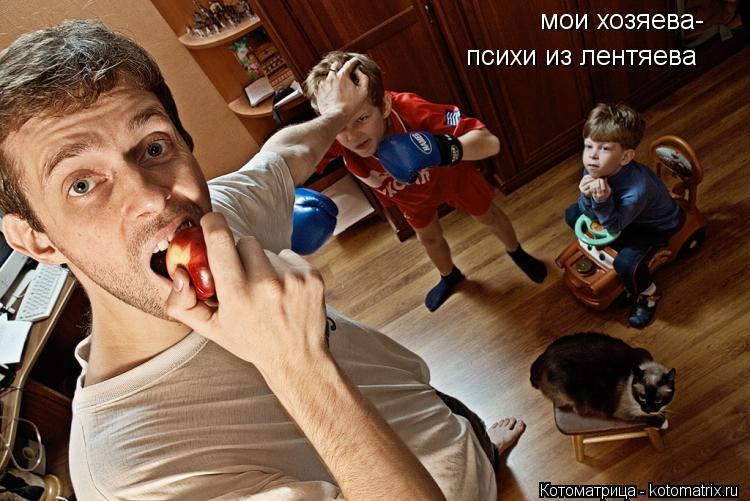 Котоматрица: мои хозяева- психи из лентяева
