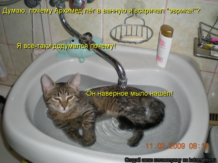 Котоматрица: Думаю, почему Архимед лёг в ванную и вскричал "эврика!"? Я всё-таки додумался почему! Он наверное мыло нашёл!