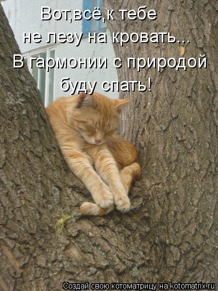 Вот,всё,к тебе не лезу на кровать... В гармонии с природой буду спать!... Котоматрица: Вот,всё,к тебе не лезу на кровать... В гармонии с природой буду спать!