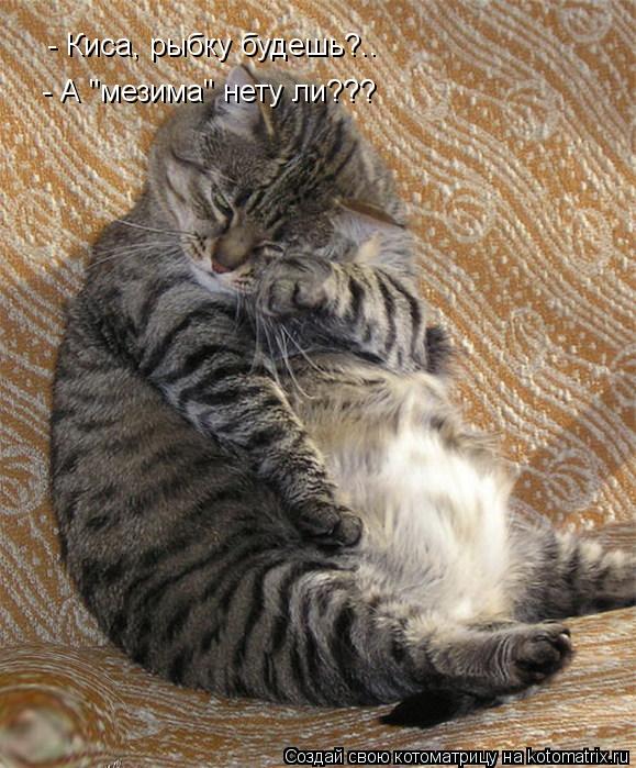 - Киса, рыбку будешь?.. - А "мезима" нету ли???... Котоматрица: - Киса, рыбку будешь?.. - А "мезима" нету ли???