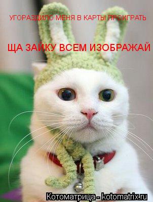 Котоматрица: УГОРАЗДИЛО МЕНЯ В КАРТЫ ПРОИГРАТЬ ЩА ЗАЙКУ ВСЕМ ИЗОБРАЖАЙ