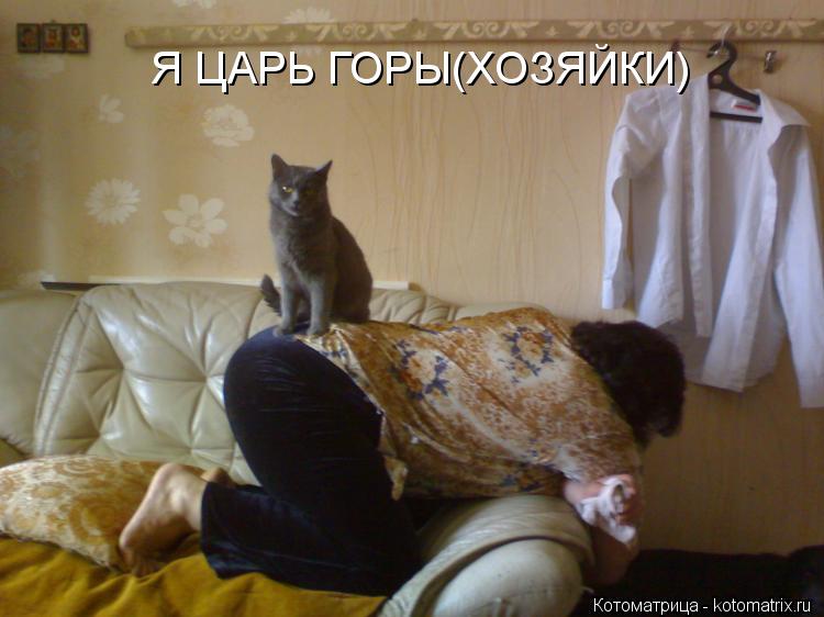 Котоматрица: Я ЦАРЬ ГОРЫ(ХОЗЯЙКИ)