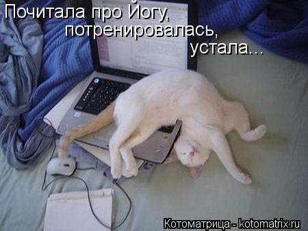 Котоматрица: Почитала про Йогу, потренировалась, устала...