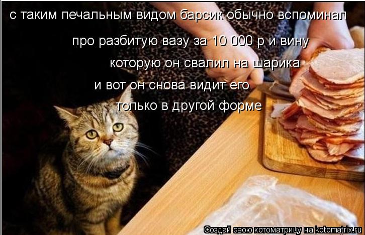 Котоматрица: с таким печальным видом барсик обычно вспоминал  про разбитую вазу за 10 000 р и вину  которую он свалил на шарика  и вот он снова видит его  тол