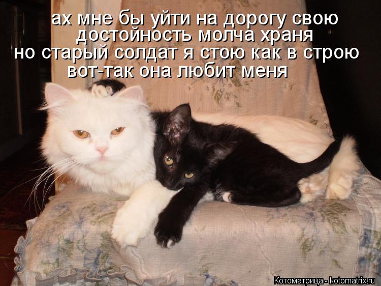 Котоматрица: ах мне бы уйти на дорогу свою достойность молча храня но старый солдат я стою как в строю вот-так она любит меня
