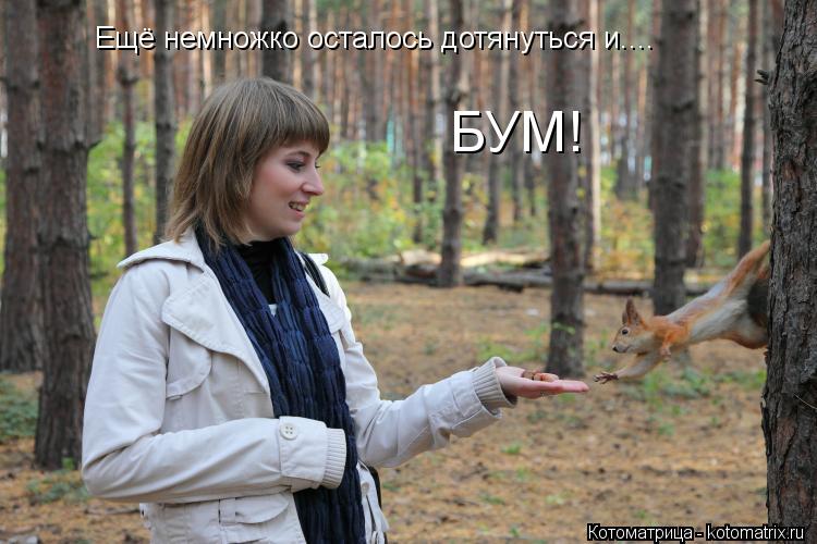 Котоматрица: Ещё немножко осталось дотянуться и.... БУМ!