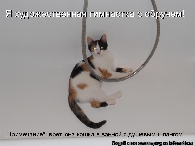 Я художественная гимнастка с обручем! Примечание*: врет, она кошка в ванной с душевым шлангом!... Котоматрица: Я художественная гимнастка с обручем! Примечание*: врет, она кошка в ванной с душевым шлангом!