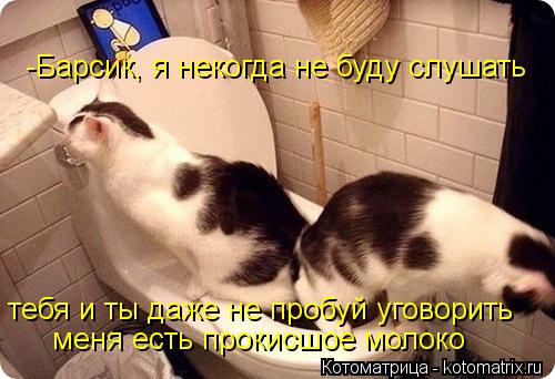 Котоматрица: -Барсик, я некогда не буду слушать меня есть прокисшое молоко тебя и ты даже не пробуй уговорить