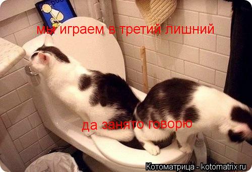 Котоматрица: мы играем в третий лишний да занято говорю