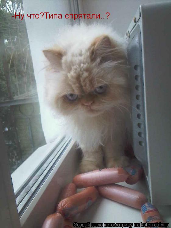 Котоматрица: -Ну что?Типа спрятали..?