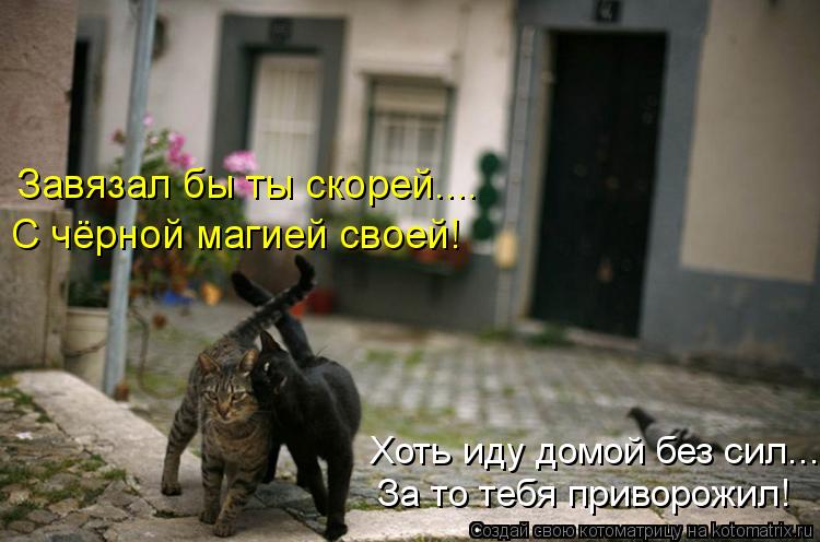 С чёрной магией своей! Завязал бы ты скорей.... Хоть иду домой без сил.... За то тебя приворожил!... Котоматрица: С чёрной магией своей! Завязал бы ты скорей.... Хоть иду домой без сил.... За то тебя приворожил!
