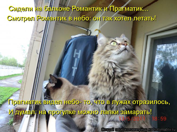 Котоматрица: Сидели на балконе Романтик и Прагматик... Смотрел Романтик в небо: он так хотел летать! Прагматик видел небо- то, что в лужах отразилось, И дум