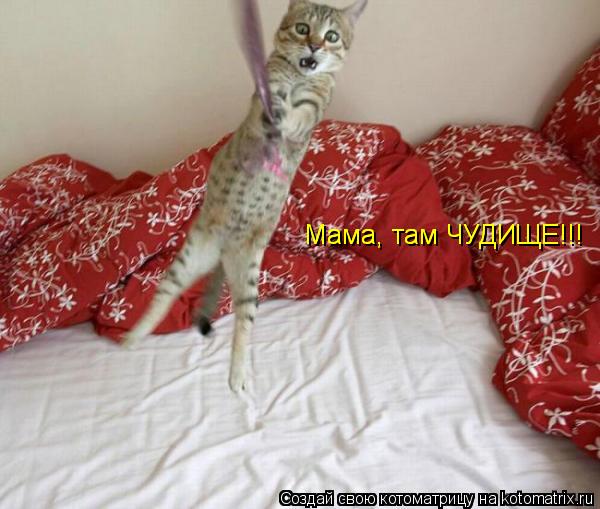 Котоматрица: Мама, там ЧУДИЩЕ!!! Мама, там ЧУДИЩЕ!!!