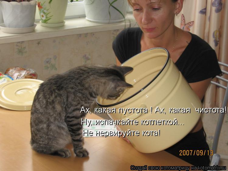 Ах, какая пустота ! Ах, какая чистота! Ну, испачкайте котлеткой... Не нервируйте кота!... Котоматрица: Ах, какая пустота ! Ах, какая чистота! Ну, испачкайте котлеткой... Не нервируйте кота!