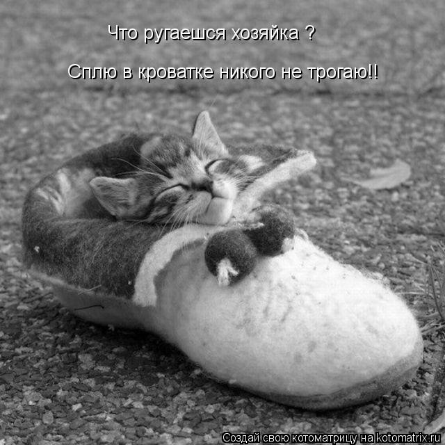 Что ругаешся хозяйка ? Сплю в кроватке никого не трогаю!!... Котоматрица: Что ругаешся хозяйка ? Сплю в кроватке никого не трогаю!!