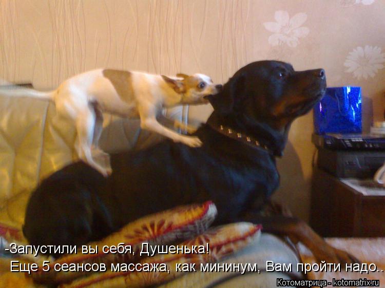 Котоматрица: Еще 5 сеансов массажа, как мининум, Вам пройти надо... -Запустили вы себя, Душенька!