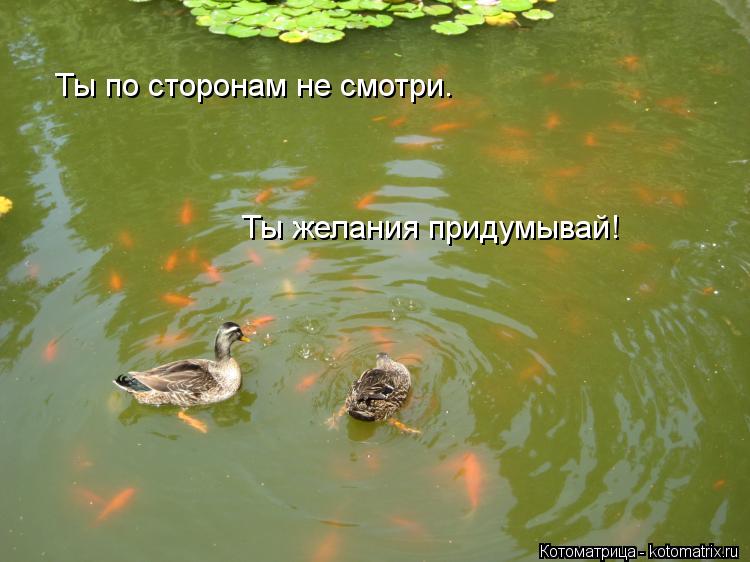 Котоматрица: Ты по сторонам не смотри. Ты желания придумывай!
