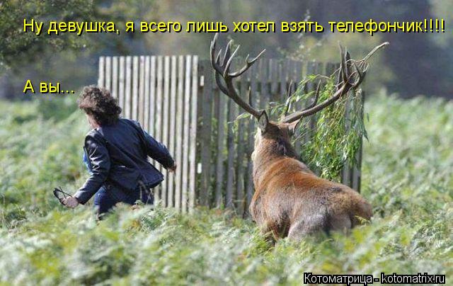 Котоматрица: Ну девушка, я всего лишь хотел взять телефончик!!!! А вы...