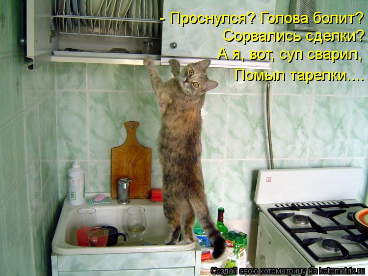 - Проснулся? Голова болит? Сорвались сделки? А я, вот, суп сварил, Помыл тарелки....... Котоматрица: - Проснулся? Голова болит? Сорвались сделки? А я, вот, суп сварил, Помыл тарелки....