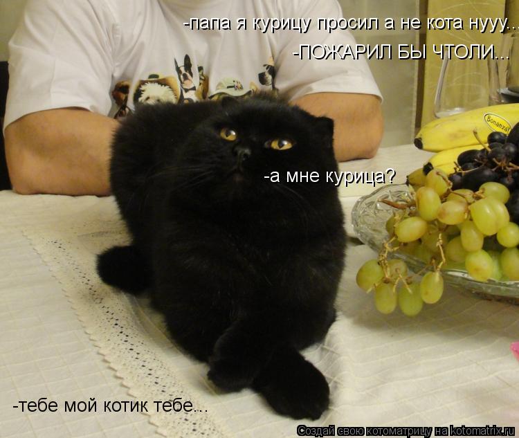 Котоматрица: -папа я курицу просил а не кота нууу...  -ПОЖАРИЛ БЫ ЧТОЛИ... -а мне курица? -тебе мой котик тебе...