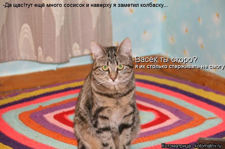 Котоматрица: -Васёк,ты скоро? я их столько стерживать не смогу -Да щас!тут ещё много сосисок и наверху я заметил колбаску...