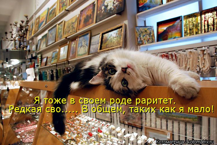 Котоматрица: Я тоже в своем роде раритет. Редкая сво..... В общем, таких как я мало!