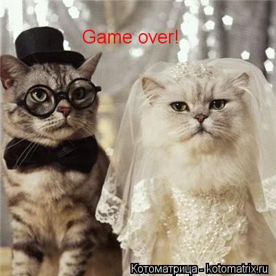 Котоматрица: Game over!
