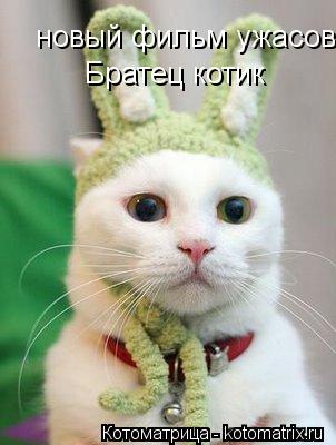 новый фильм ужасов Братец котик... Котоматрица: новый фильм ужасов Братец котик