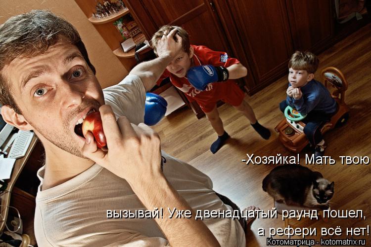 Котоматрица: -Хозяйка! Мать твою вызывай! Уже двенадцатый раунд пошел,  а рефери всё нет!