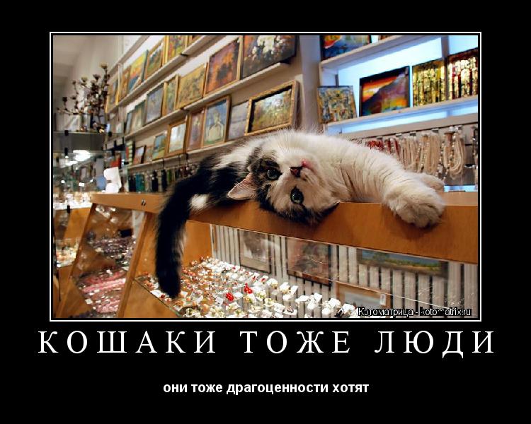 Котоматрица: Кошаки тоже люди они тоже драгоценности хотят
