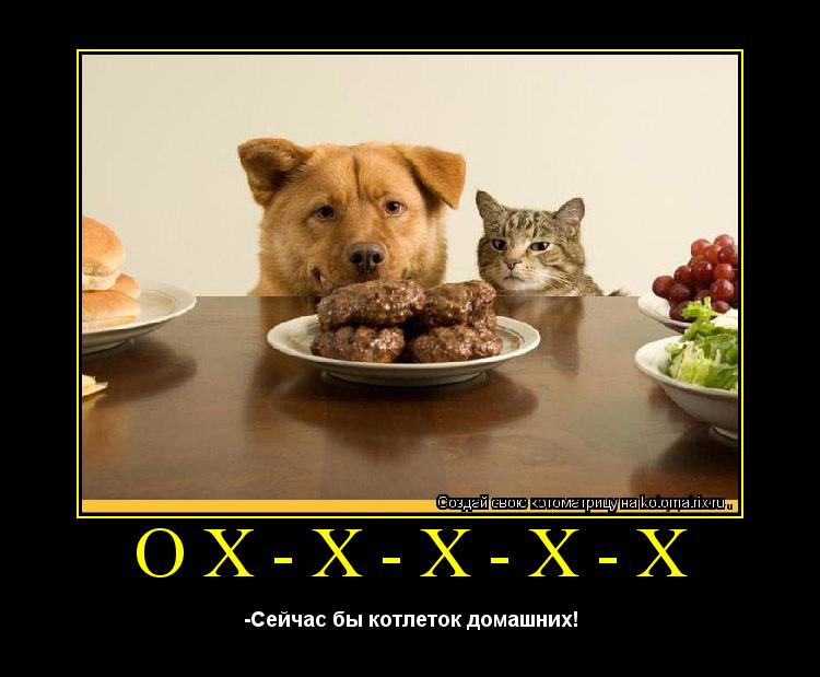 Котоматрица: Ох-х-х-х-х -Сейчас бы котлеток домашних!