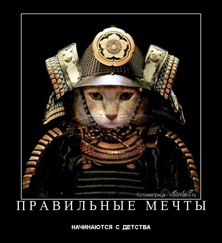 Котоматрица: ПРАВИЛЬНЫЕ МЕЧТЫ НАЧИНАЮТСЯ  С  ДЕТСТВА