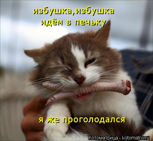 Котоматрица: избушка на куриих ножках-это про тебя в рекламе куриново рулета говорили? избушка,избушка идём в печьку я же проголодался