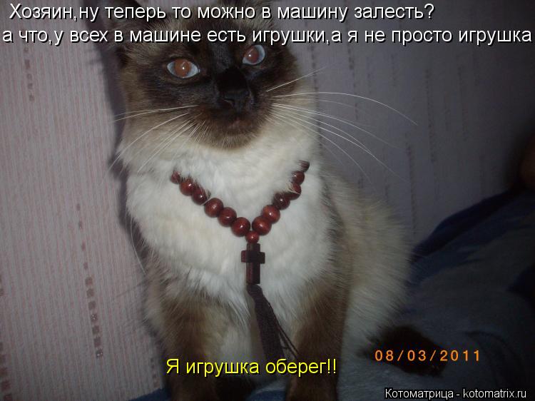 Котоматрица: Красавец Хозяин,ну теперь то можно в машину залесть? а что,у всех в машине есть игрушки,а я не просто игрушка Я игрушка оберег!!