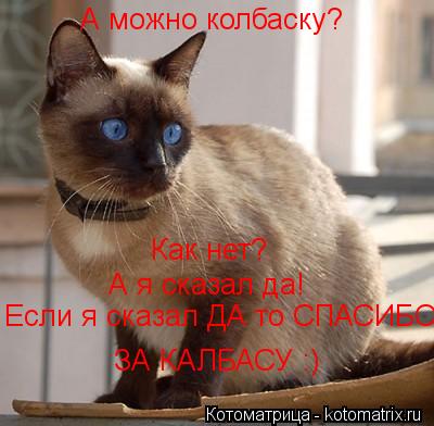 Как нет? А я сказал да! Если я сказал ДА то СПАСИБО А можно колбаску? ЗА КАЛБАСУ :)... Котоматрица: Как нет? А я сказал да! Если я сказал ДА то СПАСИБО А можно колбаску? ЗА КАЛБАСУ :)