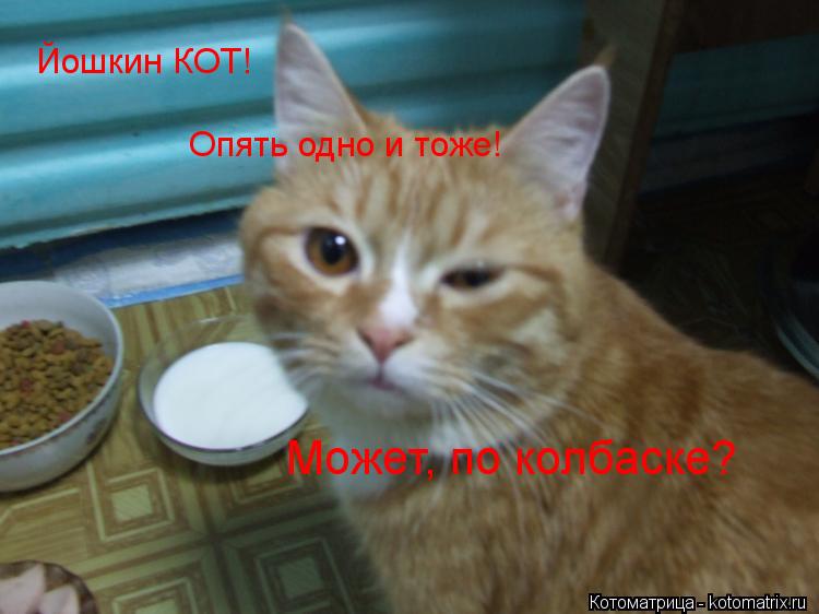 Йошкин КОТ! Опять одно и тоже! Может, по колбаске?... Котоматрица: Йошкин КОТ! Опять одно и тоже! Может, по колбаске?