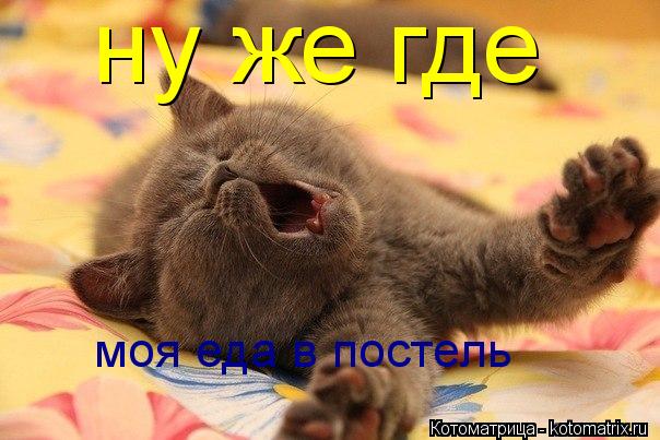 Котоматрица: ну же где  моя еда в постель