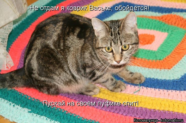 Котоматрица: -Не отдам я коврик Ваське, обойдётся! Пускай на своём пуфике спит!