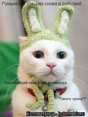 Котоматрица: Румынский спецназ снова в действий.... Нннновейший камуфляж от заваода  "Какого хрена?!"